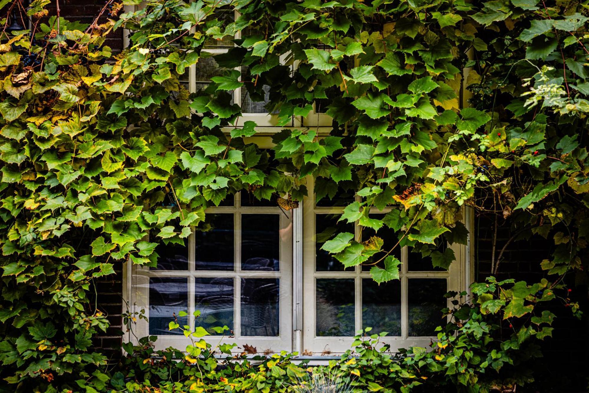 Kasteel Kerckebosch Hotel Zeist Kültér fotó